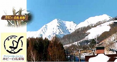 アイス天国 長野県 白馬乗鞍高原 ペンションホビー アイスクリームセット アイス天国 長野県 白馬乗鞍高原 ペンションホビー アイスクリームセット